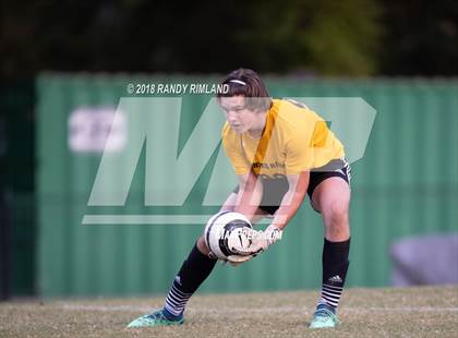 Thumbnail 1 in Porter Ridge @ Myers Park photogallery.