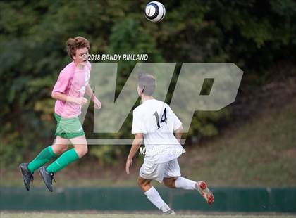Thumbnail 1 in Porter Ridge @ Myers Park photogallery.