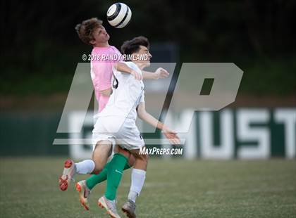 Thumbnail 3 in Porter Ridge @ Myers Park photogallery.