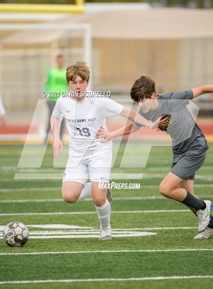 Thumbnail 3 in Notre Dame Prep vs. Saguaro (AIA 4A Quarterfinals) photogallery.