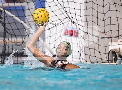 Thumbnail 1 in Southlake Carroll vs Brazoswood (UIL 6A Water Polo Semifinal) photogallery.