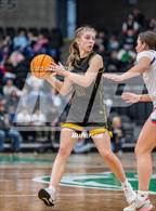 Photo from the gallery "Emery vs Canyon View (UHSAA 3A Final)"
