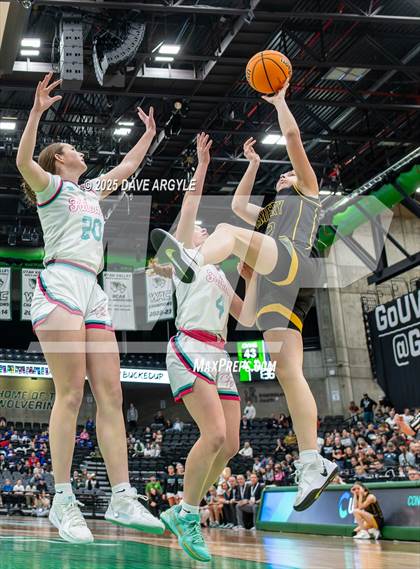 Thumbnail 1 in Emery vs Canyon View (UHSAA 3A Final) photogallery.