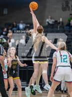 Photo from the gallery "Emery vs Canyon View (UHSAA 3A Final)"