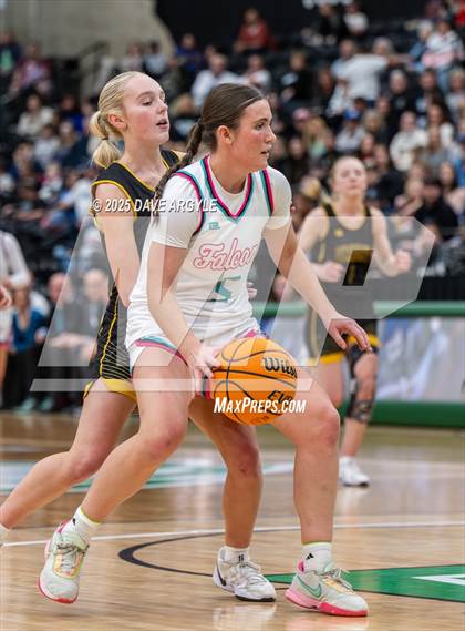 Thumbnail 3 in Emery vs Canyon View (UHSAA 3A Final) photogallery.