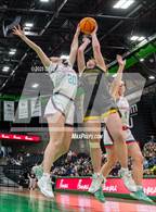 Photo from the gallery "Emery vs Canyon View (UHSAA 3A Final)"