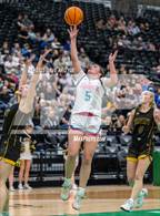 Photo from the gallery "Emery vs Canyon View (UHSAA 3A Final)"