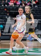 Photo from the gallery "Emery vs Canyon View (UHSAA 3A Final)"