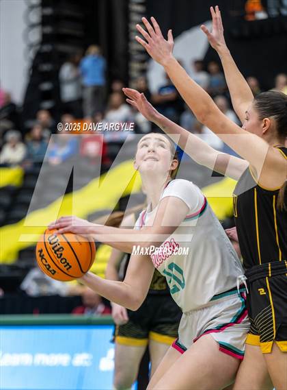 Thumbnail 3 in Emery vs Canyon View (UHSAA 3A Final) photogallery.