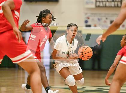 Thumbnail 3 in T.W. Andrews @ Pinecrest photogallery.