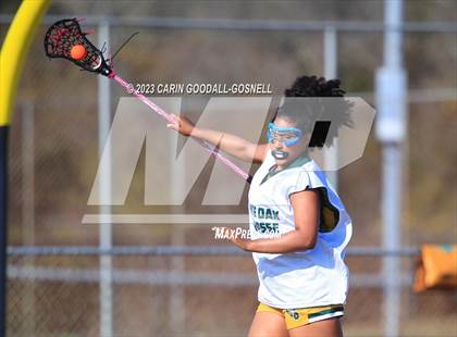 Thumbnail 2 in White Oak @ Croatan photogallery.