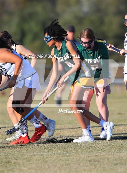 Thumbnail 1 in White Oak @ Croatan photogallery.