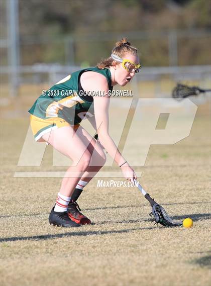 Thumbnail 1 in White Oak @ Croatan photogallery.