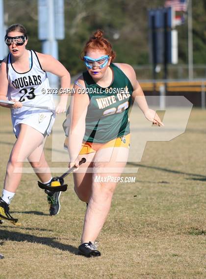 Thumbnail 1 in White Oak @ Croatan photogallery.
