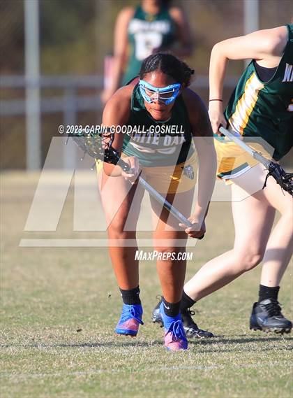 Thumbnail 2 in White Oak @ Croatan photogallery.