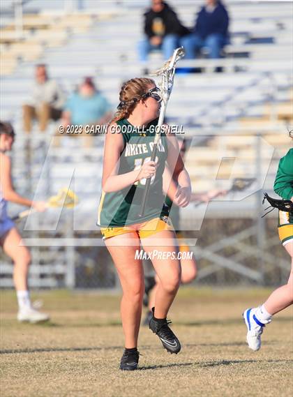 Thumbnail 2 in White Oak @ Croatan photogallery.