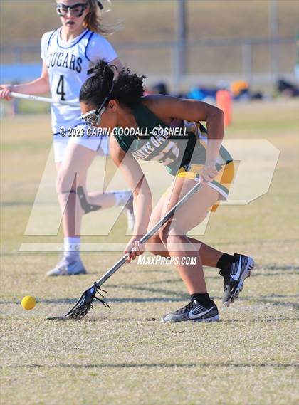 Thumbnail 3 in White Oak @ Croatan photogallery.