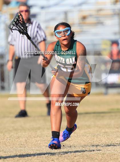 Thumbnail 1 in White Oak @ Croatan photogallery.