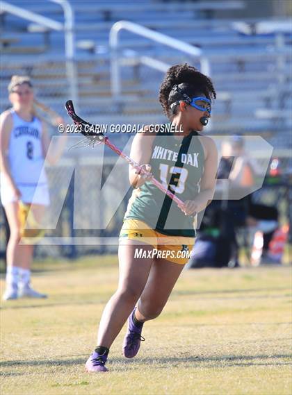 Thumbnail 1 in White Oak @ Croatan photogallery.