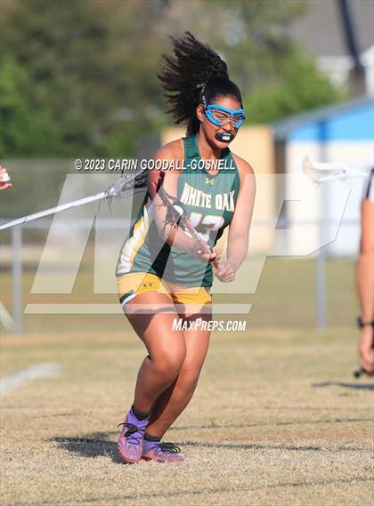 Thumbnail 3 in White Oak @ Croatan photogallery.