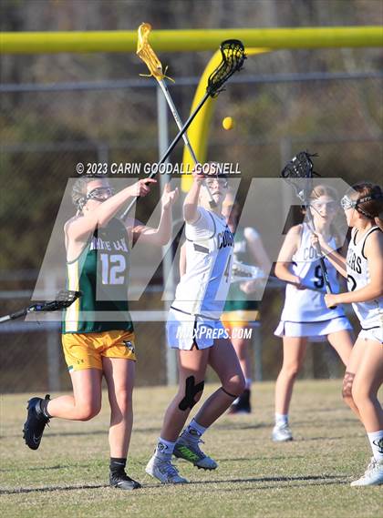 Thumbnail 1 in White Oak @ Croatan photogallery.