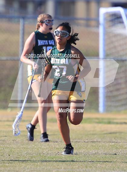 Thumbnail 1 in White Oak @ Croatan photogallery.