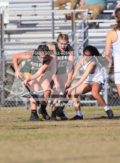 Thumbnail 3 in White Oak @ Croatan photogallery.