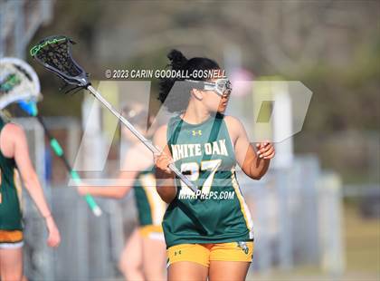 Thumbnail 2 in White Oak @ Croatan photogallery.
