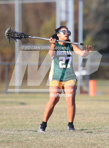 Thumbnail 1 in White Oak @ Croatan photogallery.