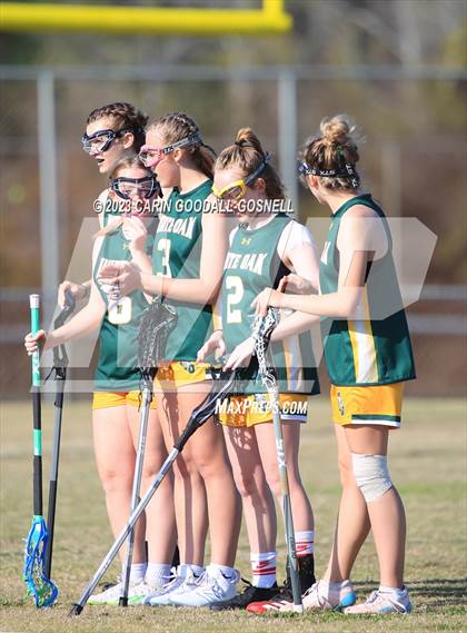 Thumbnail 2 in White Oak @ Croatan photogallery.