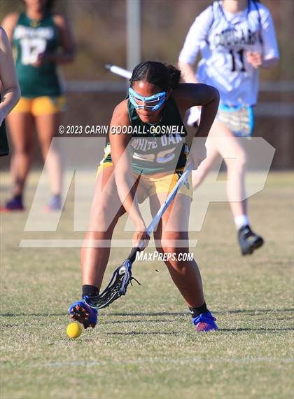 Thumbnail 1 in White Oak @ Croatan photogallery.