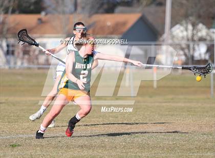 Thumbnail 1 in White Oak @ Croatan photogallery.