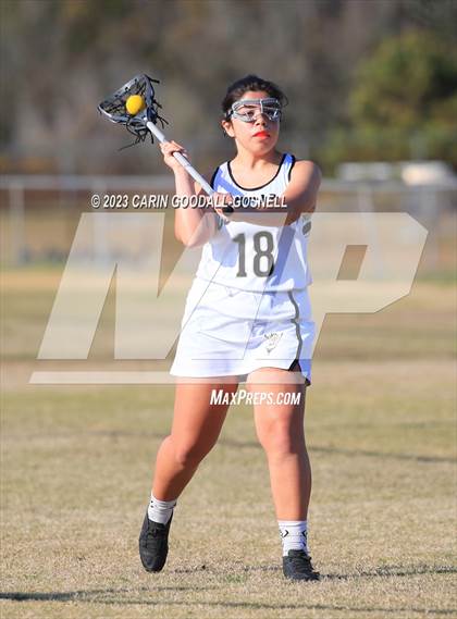 Thumbnail 3 in White Oak @ Croatan photogallery.