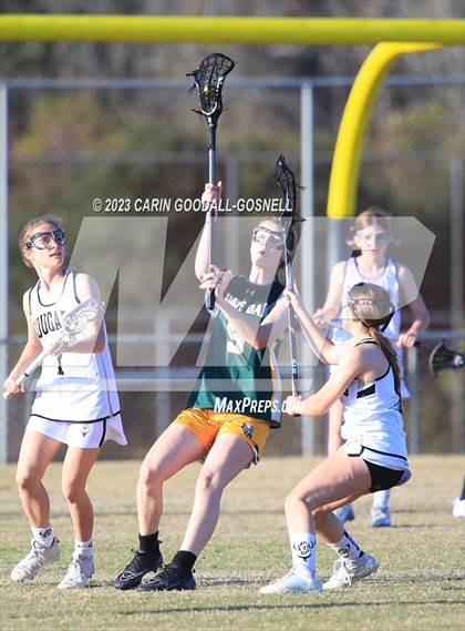 Thumbnail 3 in White Oak @ Croatan photogallery.