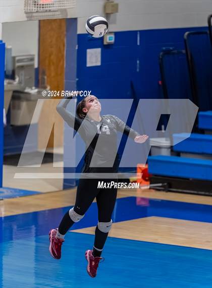 Thumbnail 2 in Marshall @ Cotter photogallery.