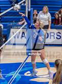 Photo from the gallery "Marshall @ Cotter"