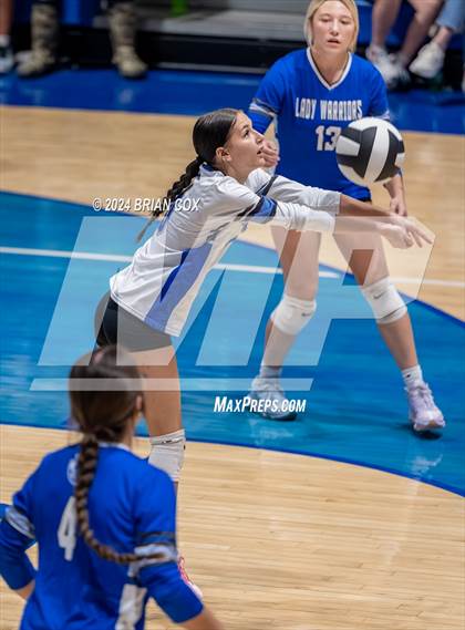 Thumbnail 2 in Marshall @ Cotter photogallery.