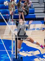 Photo from the gallery "Marshall @ Cotter"