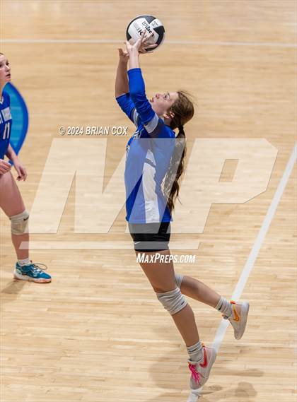 Thumbnail 2 in Marshall @ Cotter photogallery.
