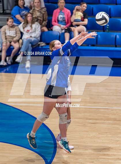 Thumbnail 1 in Marshall @ Cotter photogallery.