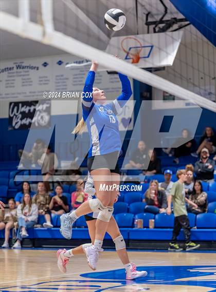 Thumbnail 3 in Marshall @ Cotter photogallery.