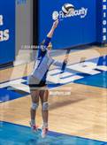 Photo from the gallery "Marshall @ Cotter"