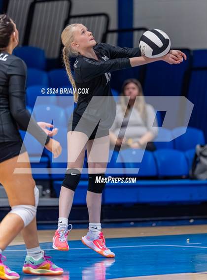 Thumbnail 2 in Marshall @ Cotter photogallery.