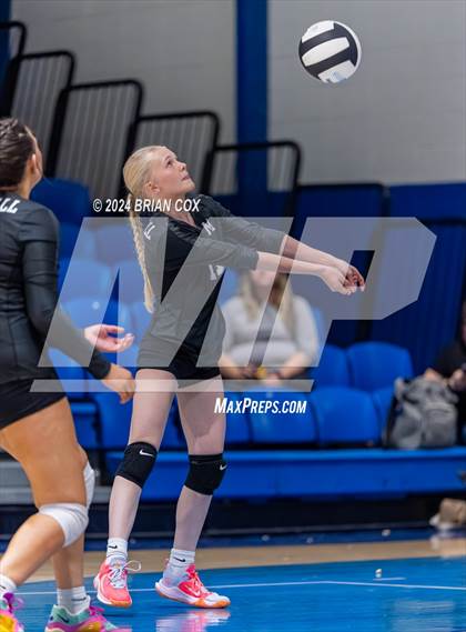 Thumbnail 3 in Marshall @ Cotter photogallery.