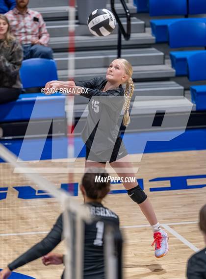 Thumbnail 2 in Marshall @ Cotter photogallery.