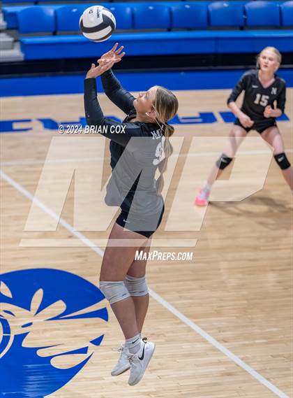 Thumbnail 3 in Marshall @ Cotter photogallery.