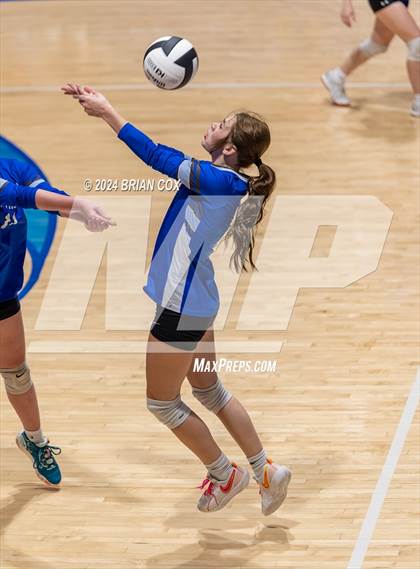 Thumbnail 3 in Marshall @ Cotter photogallery.