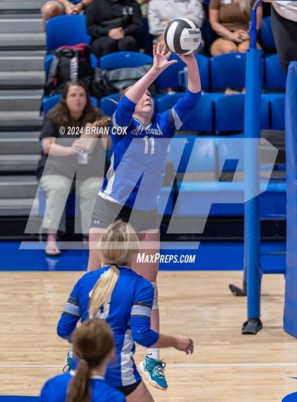 Thumbnail 1 in Marshall @ Cotter photogallery.