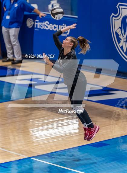 Thumbnail 2 in Marshall @ Cotter photogallery.