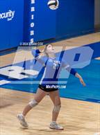Photo from the gallery "Marshall @ Cotter"